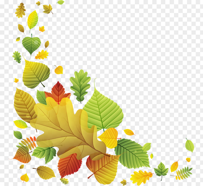 Vintage Card Background Leaf Yellow Picture Frames PNG