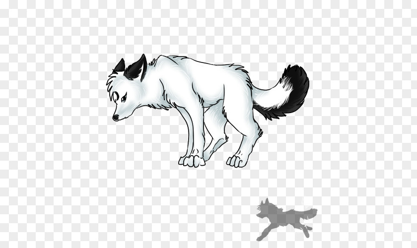 Cat Red Fox Gray Wolf Sketch PNG