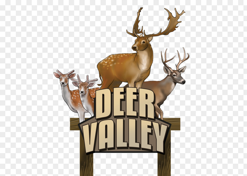 Deer Valley Reindeer Elk Antler Wildlife PNG