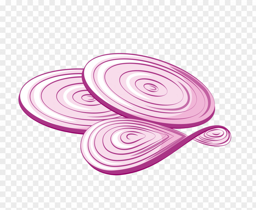 Vector Realistic Cartoon Onion Slices PNG