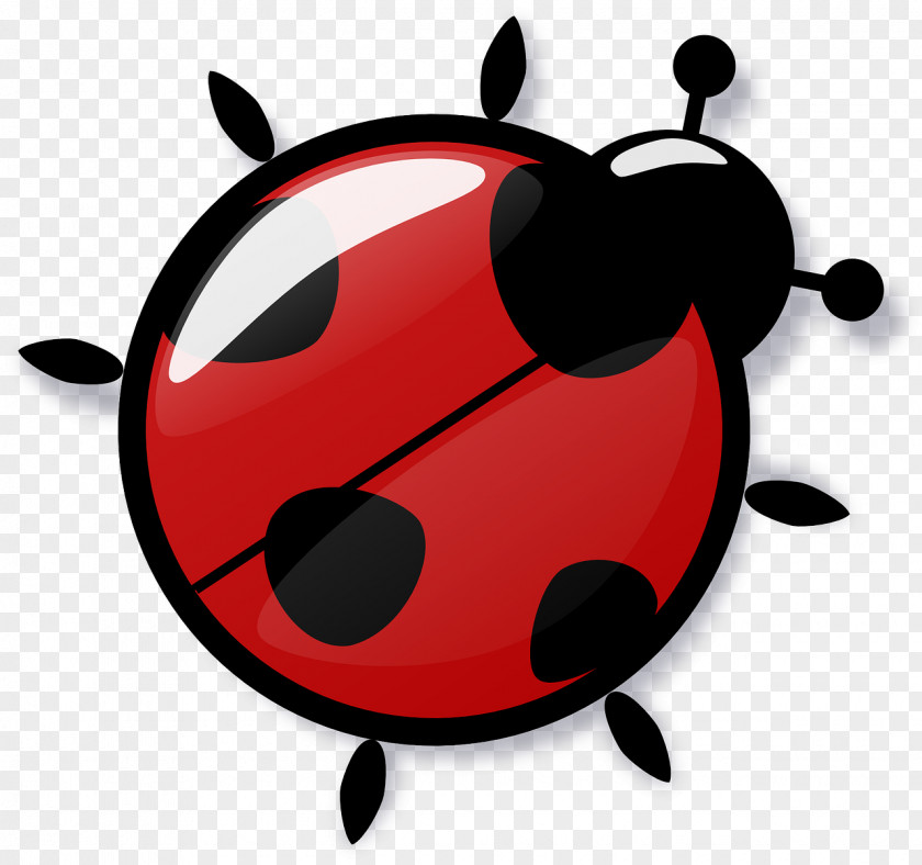 Bugs Insect Cockroach Ladybird Clip Art PNG