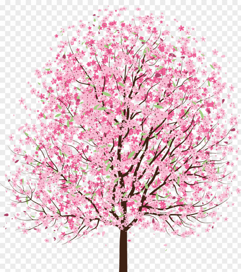 Cherry Blossom Tree Clip Art PNG
