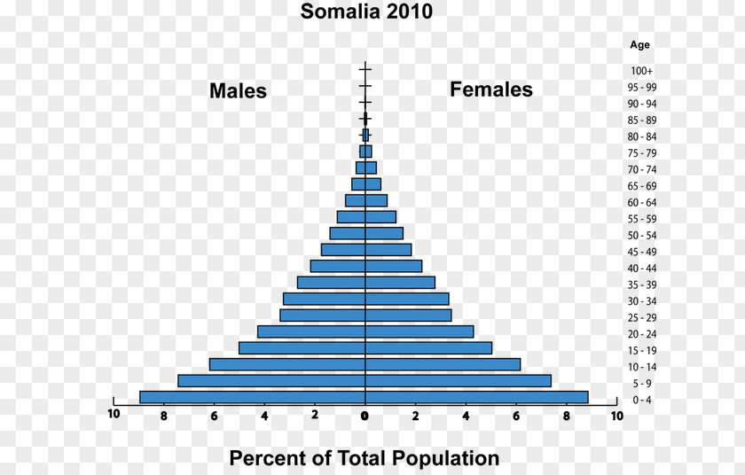 Child Somalia Total Fertility Rate Population Growth Demography PNG