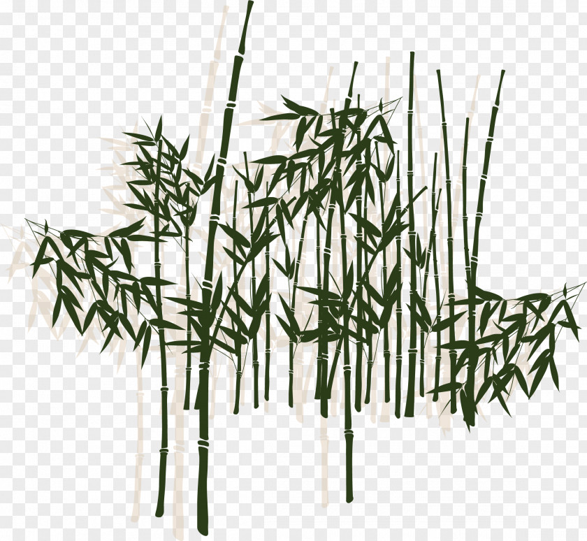 Flowering Of Bamboo Leaves Leaf Drawing PNG