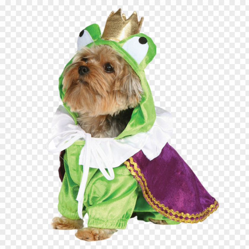 Halloween Costume Clothing Dachshund PNG