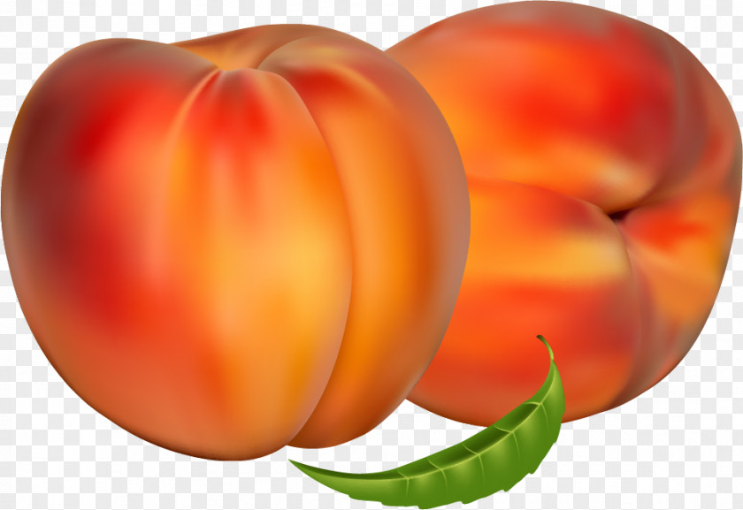 Tomato Clip Art Fruit Nectarine Vector Graphics Food PNG