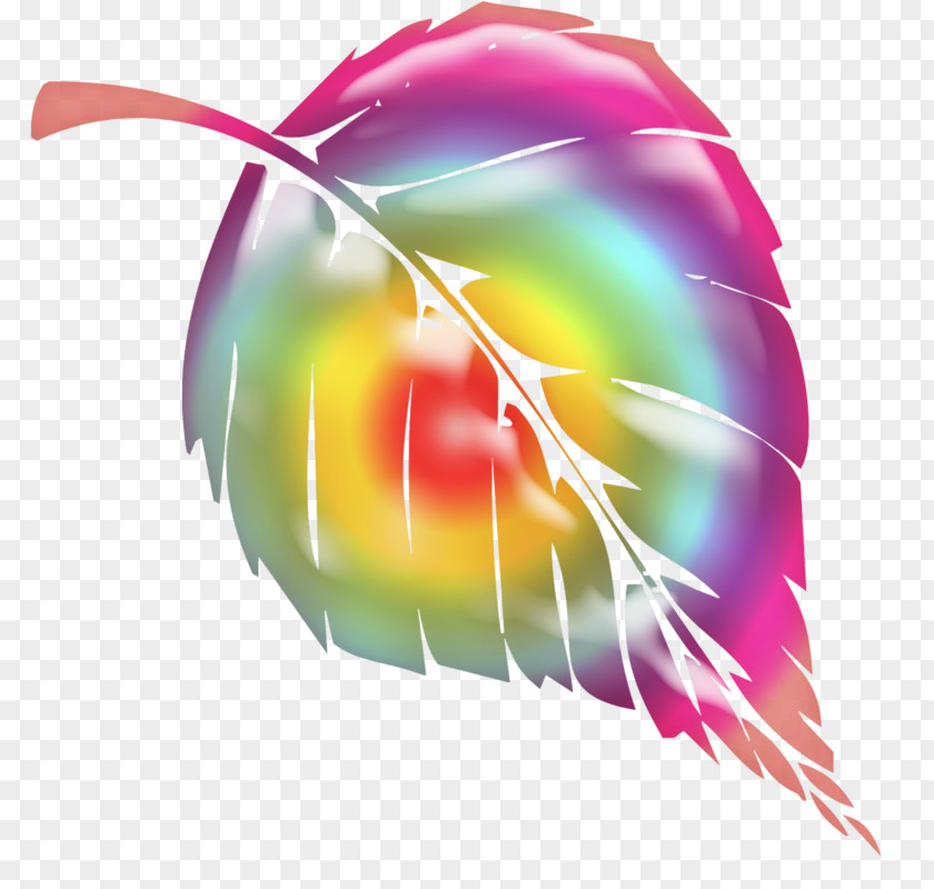 Waterlily Flag Image Download Quartz PNG