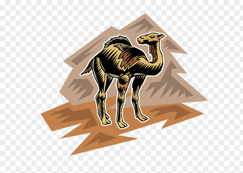 Camel PhotoScape PNG