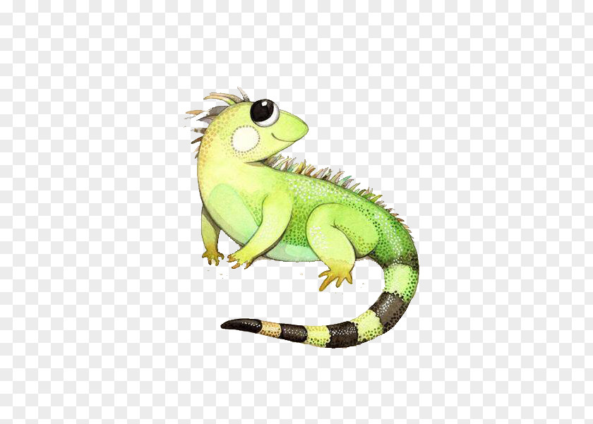 Cute Chameleon Green Iguana Lizard Drawing Illustration PNG