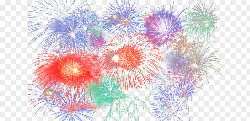 Fireworks Flora Petal Fxeate Wallpaper PNG