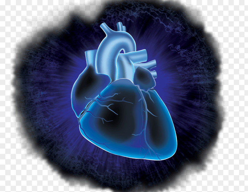 Heart Circulatory System Cardiovascular Research Desktop Wallpaper Disease PNG