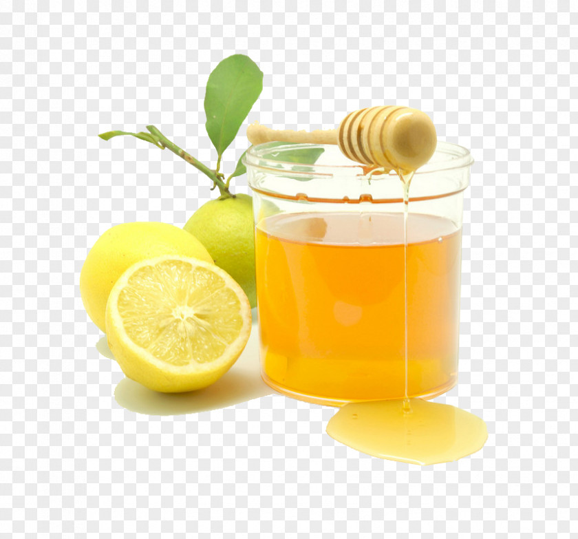 Honey Lemon Lemonade Drinking Extract PNG
