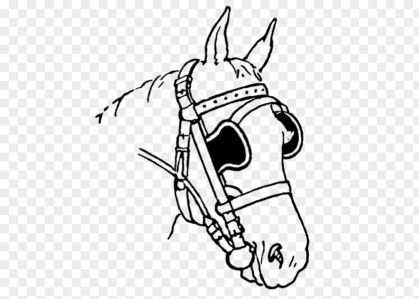 Horse Head American Quarter Tack Blinkers Harnesses Clip Art PNG