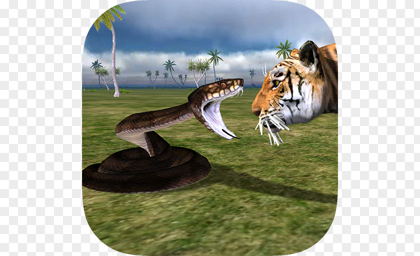 Snake Animals Jigsaw Puzzle Game Puzzles Android PNG