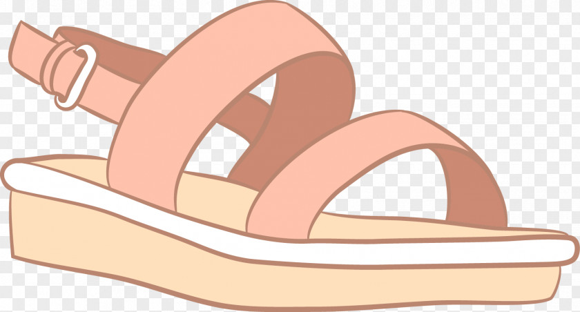 Vector Women Sandals Sandal Shoe Flip-flops PNG