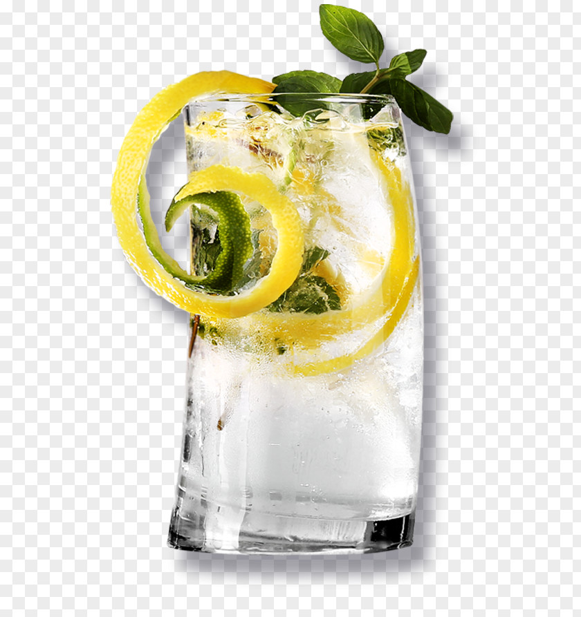 Cocktail Garnish Gin And Tonic Vodka PNG