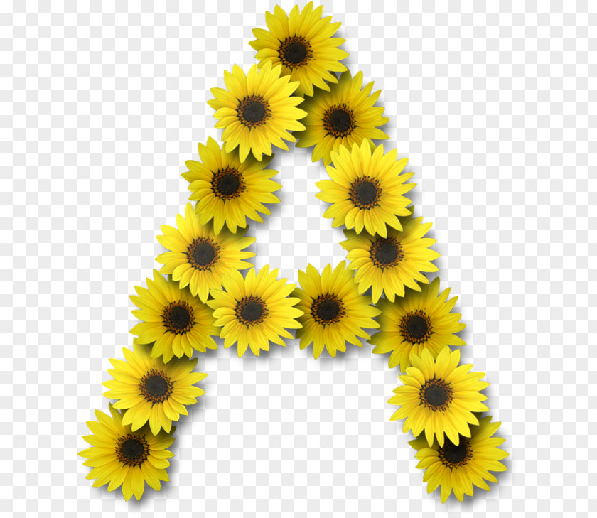 Common Sunflower Alphabet Lettering PNG