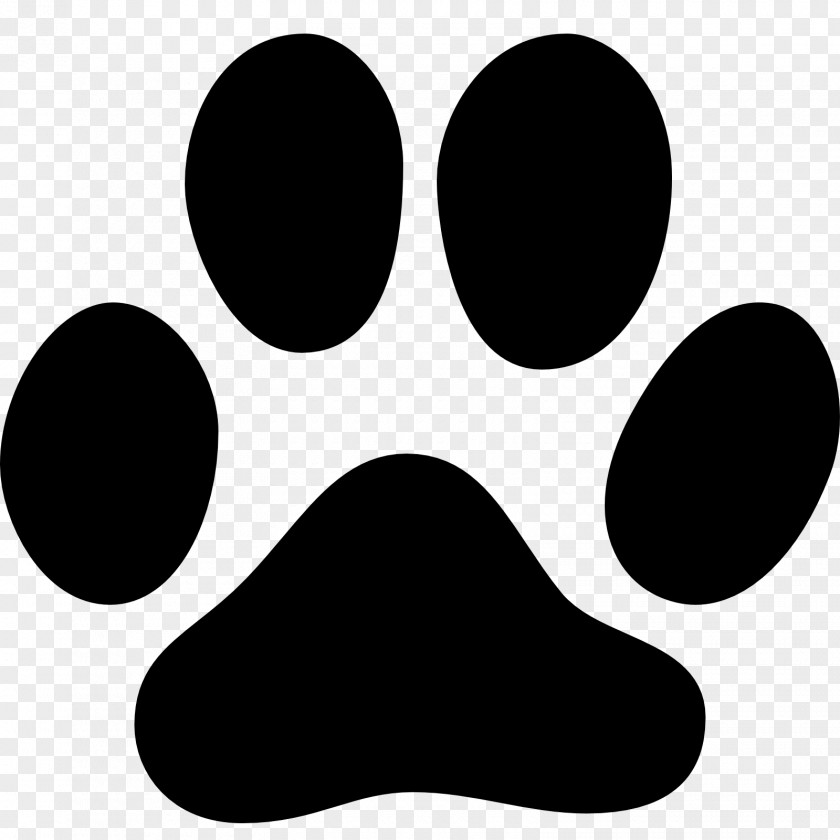 Footprint Dog Cat Paw Animal Track PNG