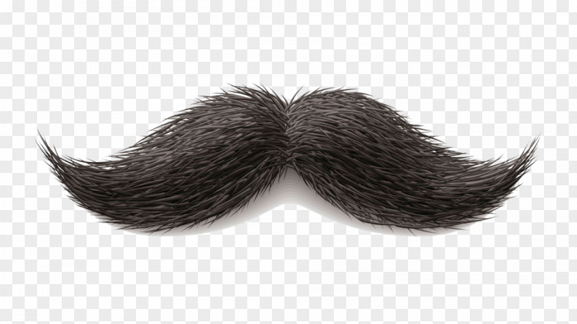 Moustache World Beard And Championships Hair PNG