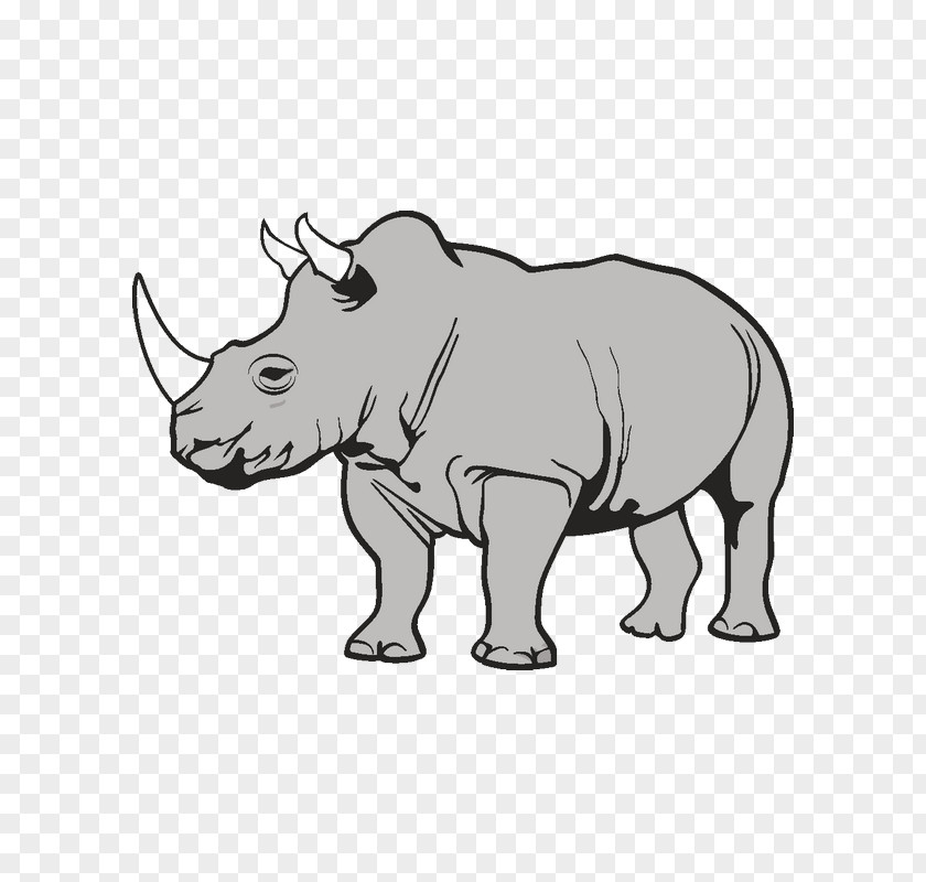 Rhinoceros Clip Art PNG