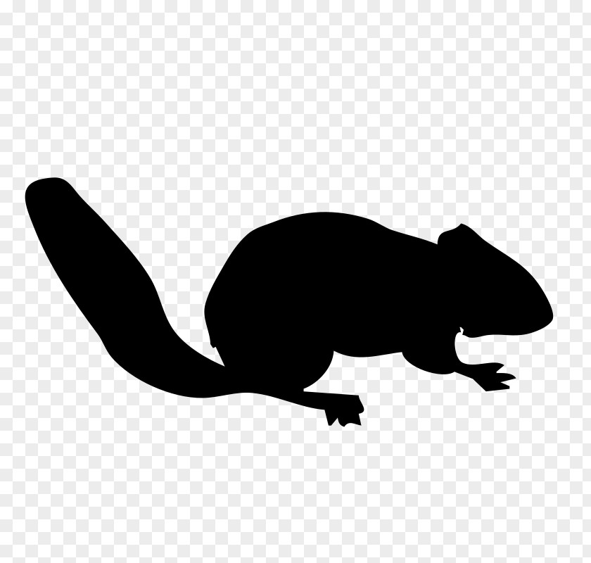 Squirrel Chipmunk Animal Silhouettes Clip Art PNG