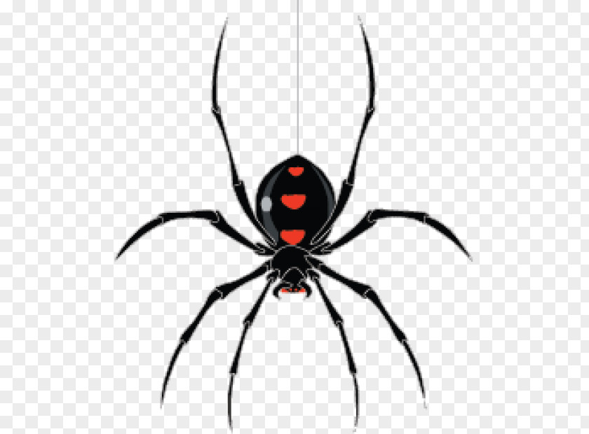 Storm Web Crawler StormCrawler PNG