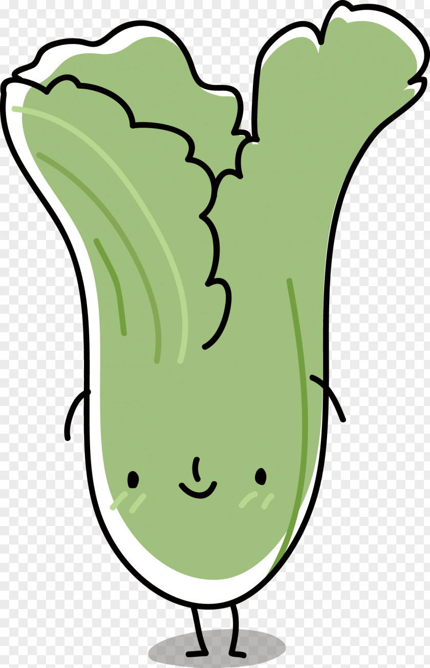 Cartoon Cabbage Bok Choy Vegetable Food Napa PNG