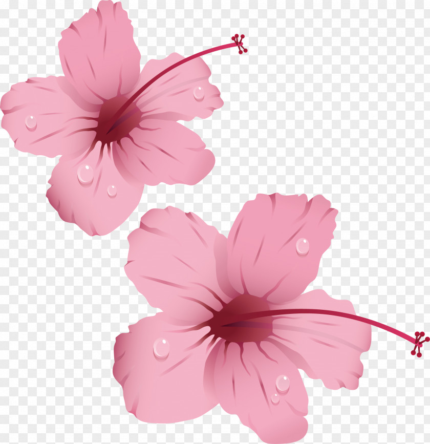 Flowers With Water Droplets Pink Rose Clip Art PNG
