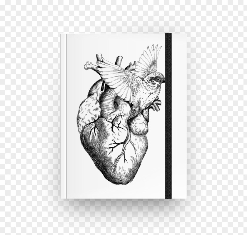 Heart Drawing Watercolor Painting PNG