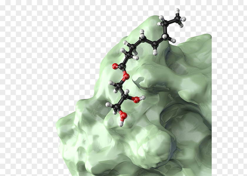 Immunity Histamine H1 Receptor Illustration Organism Science PNG