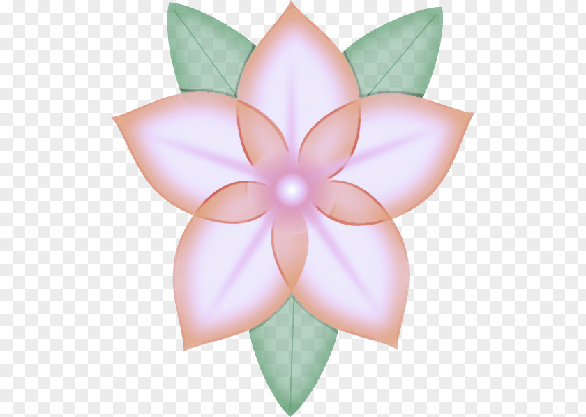 Plant Automotive Wheel System Petal Pink Symmetry Flower PNG