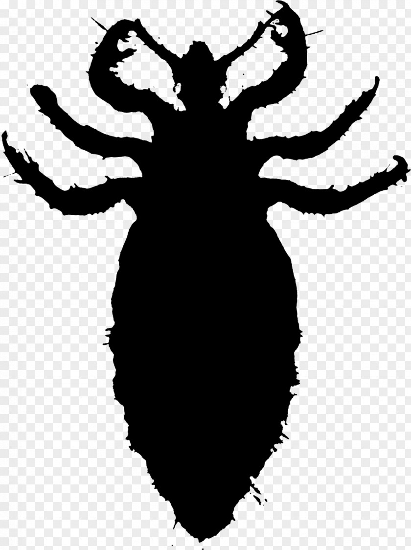 Vector Graphics Clip Art Illustration Louse Insect PNG