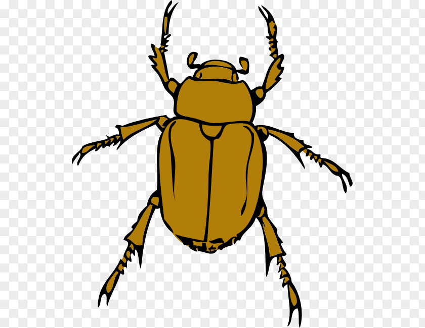 Beetle Bug Clip Art 2017 Volkswagen PNG