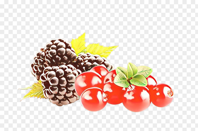 Berry Natural Foods Blackberry Fruit Food PNG