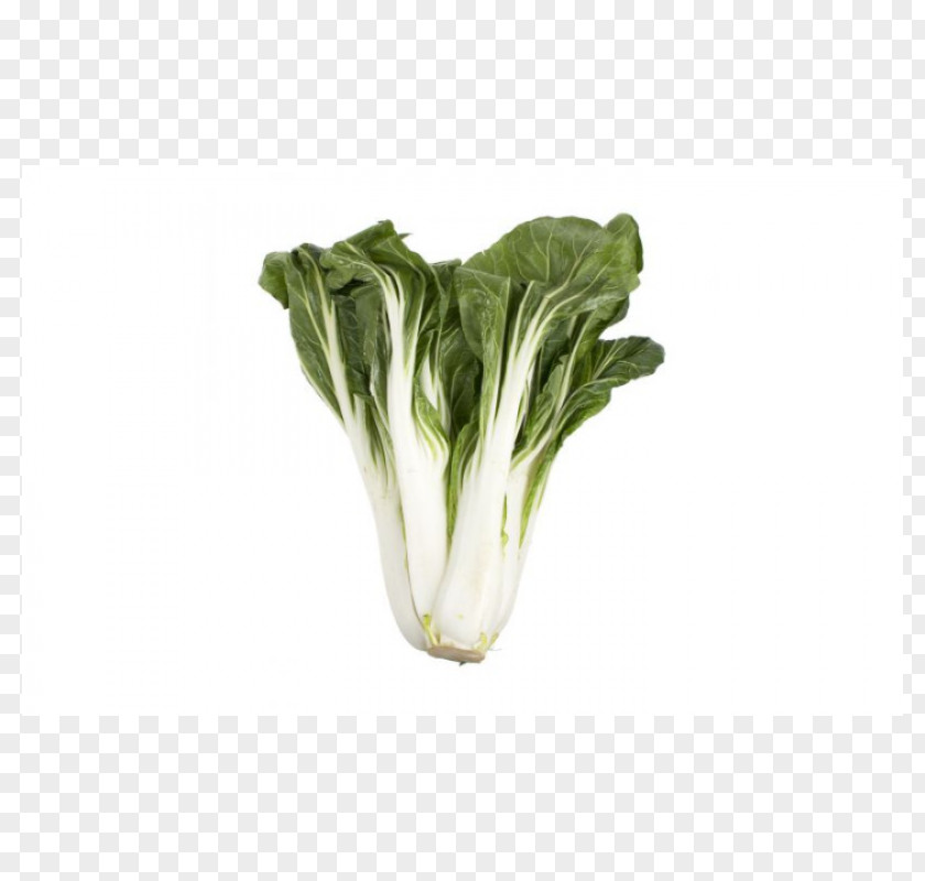 Bok Choy Sum Organic Food Leaf Vegetable PNG