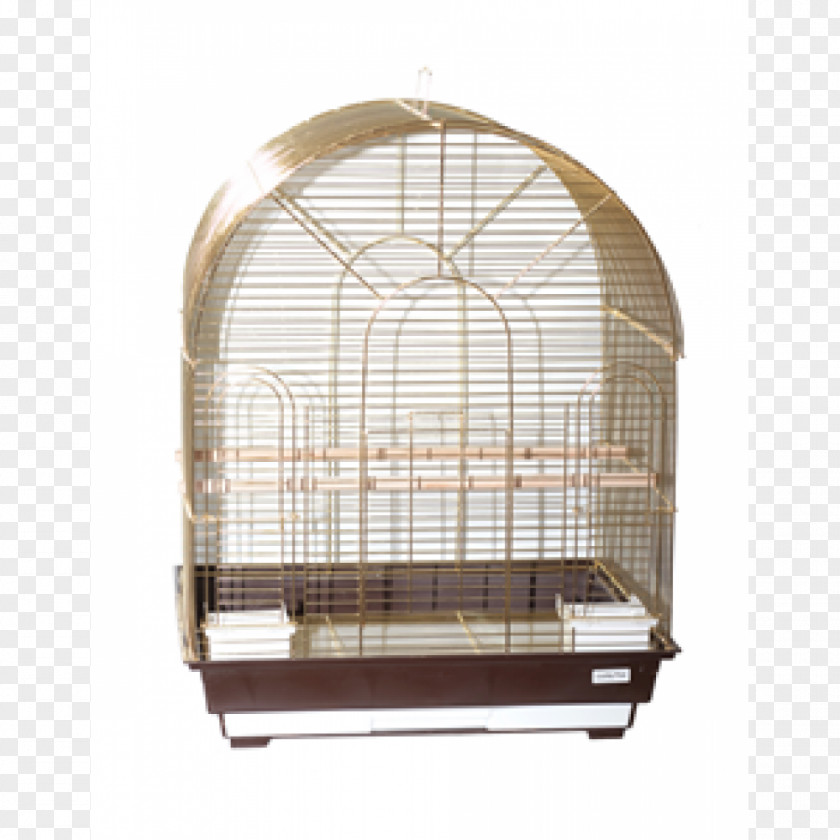 Cages Bird Cell Price Kherson Mykolaiv PNG
