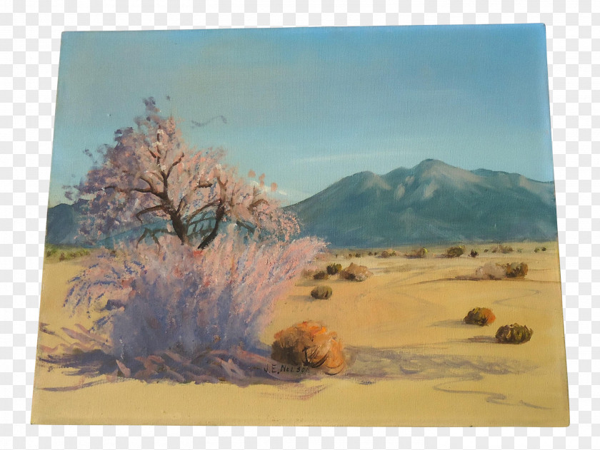 Desert Painting Ecoregion Sky Plc PNG