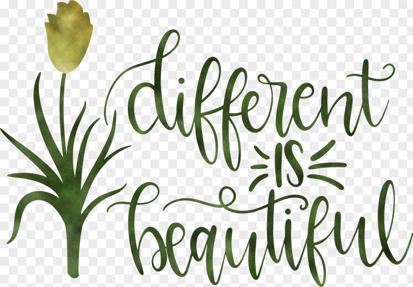 Different Is Beautiful Womens Day PNG