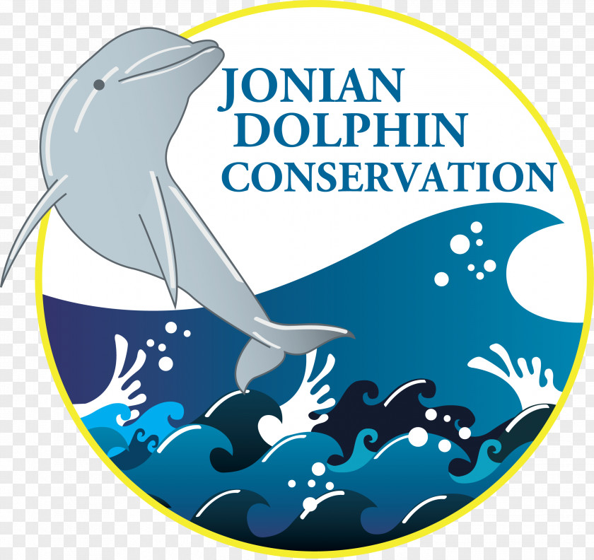 Golfo De Taranto Jonian Dolphin Conservation Striped Cetaceans Gulf Of PNG