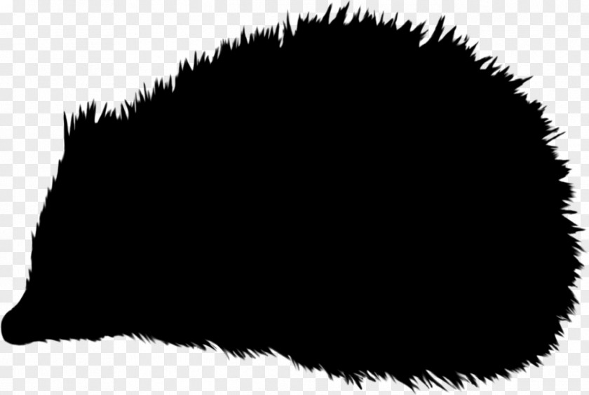 Hedgehog Silhouette Clip Art Image Photograph PNG