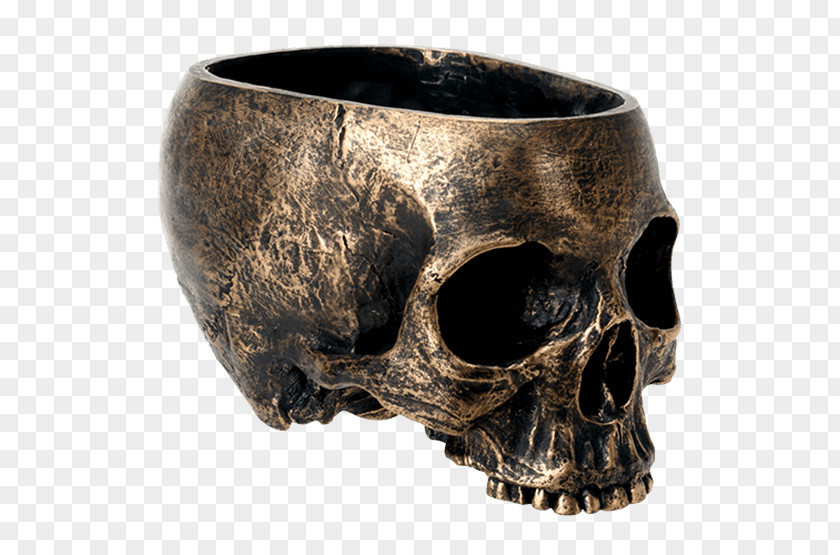 Skull Bowl Skeleton Dish Tableware PNG