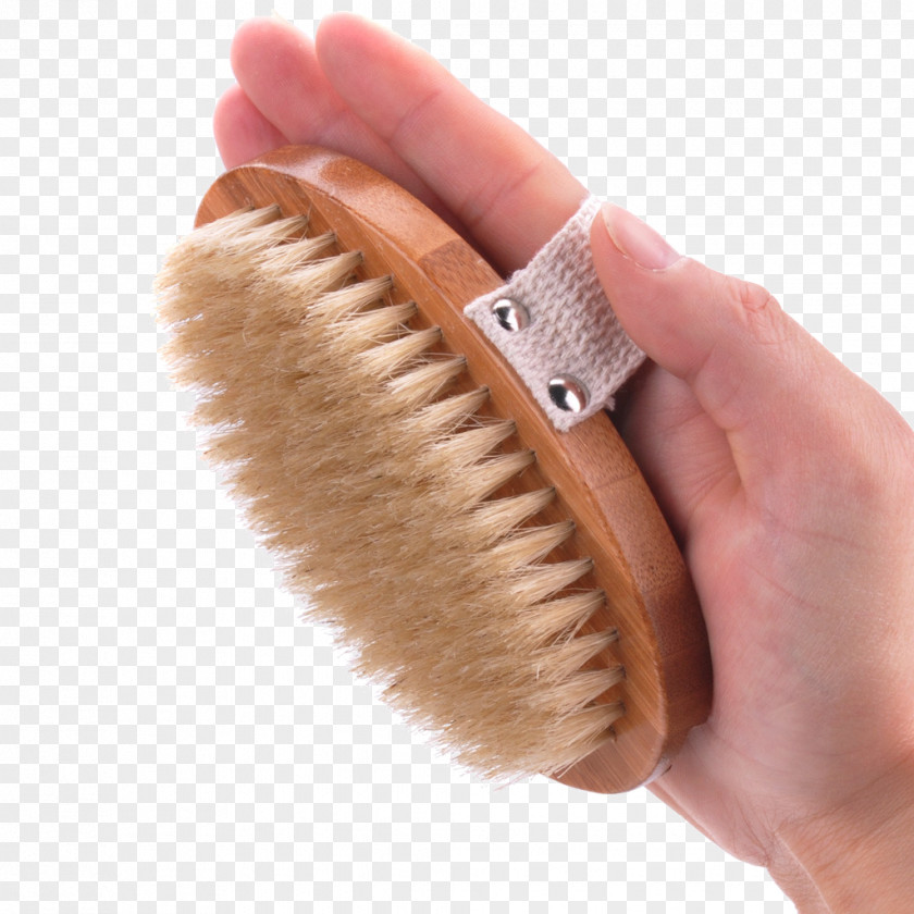 Bath Tools Bathing Comb Brush Borste PNG