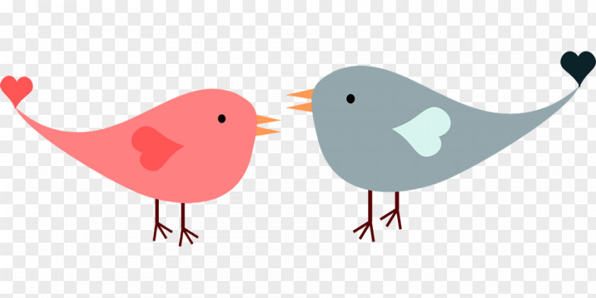 Bird Lovebird Clip Art PNG