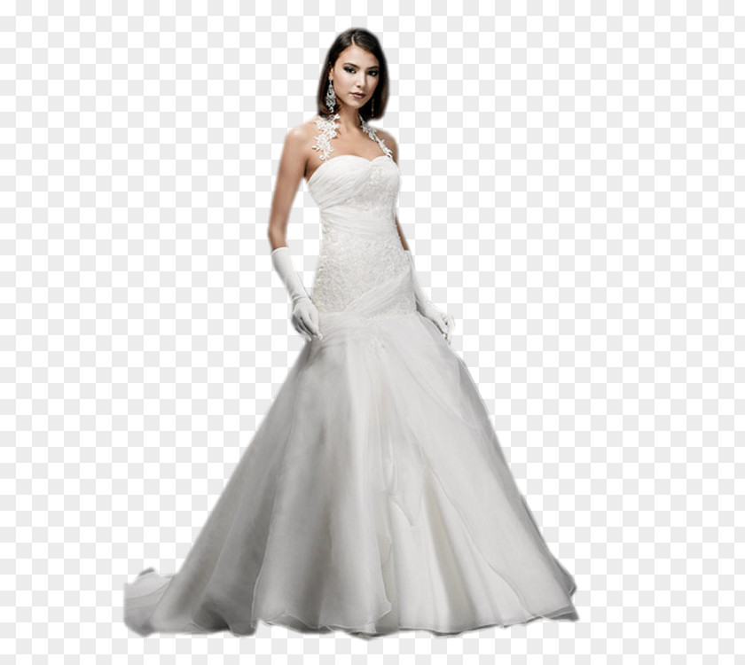 Bride Wedding Dress PNG