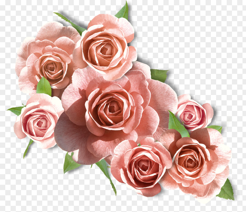 Camellia Floral Design Pastel Background PNG