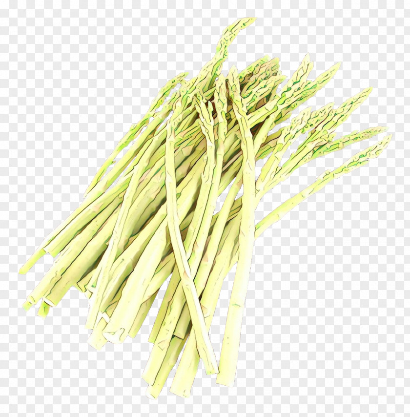 Chives Ingredient Onion Cartoon PNG