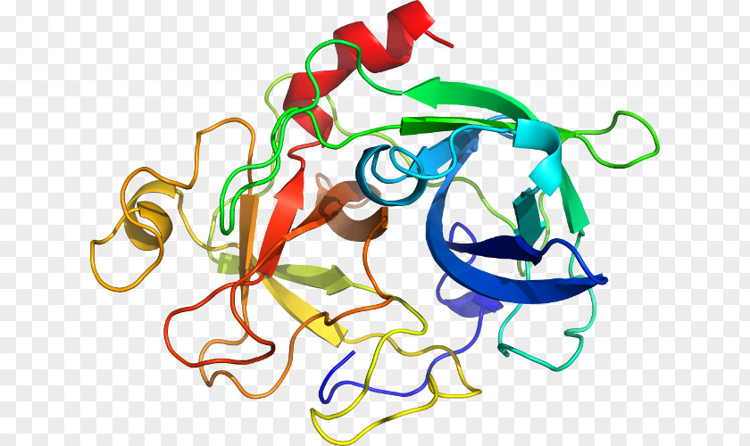 Domain Streamer KLK6 Kallikrein Protein Gene Cancer PNG