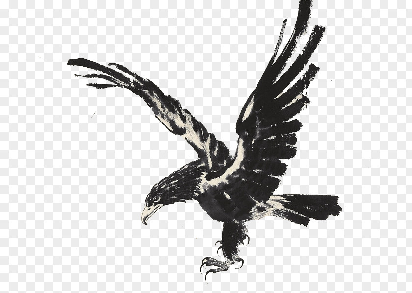 Eagle Fly Ink Wash Painting PNG