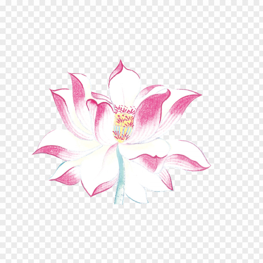 Painting Lotus Download Icon PNG