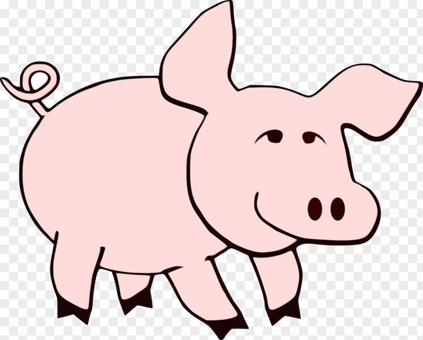 Tail Livestock Pig Cartoon PNG